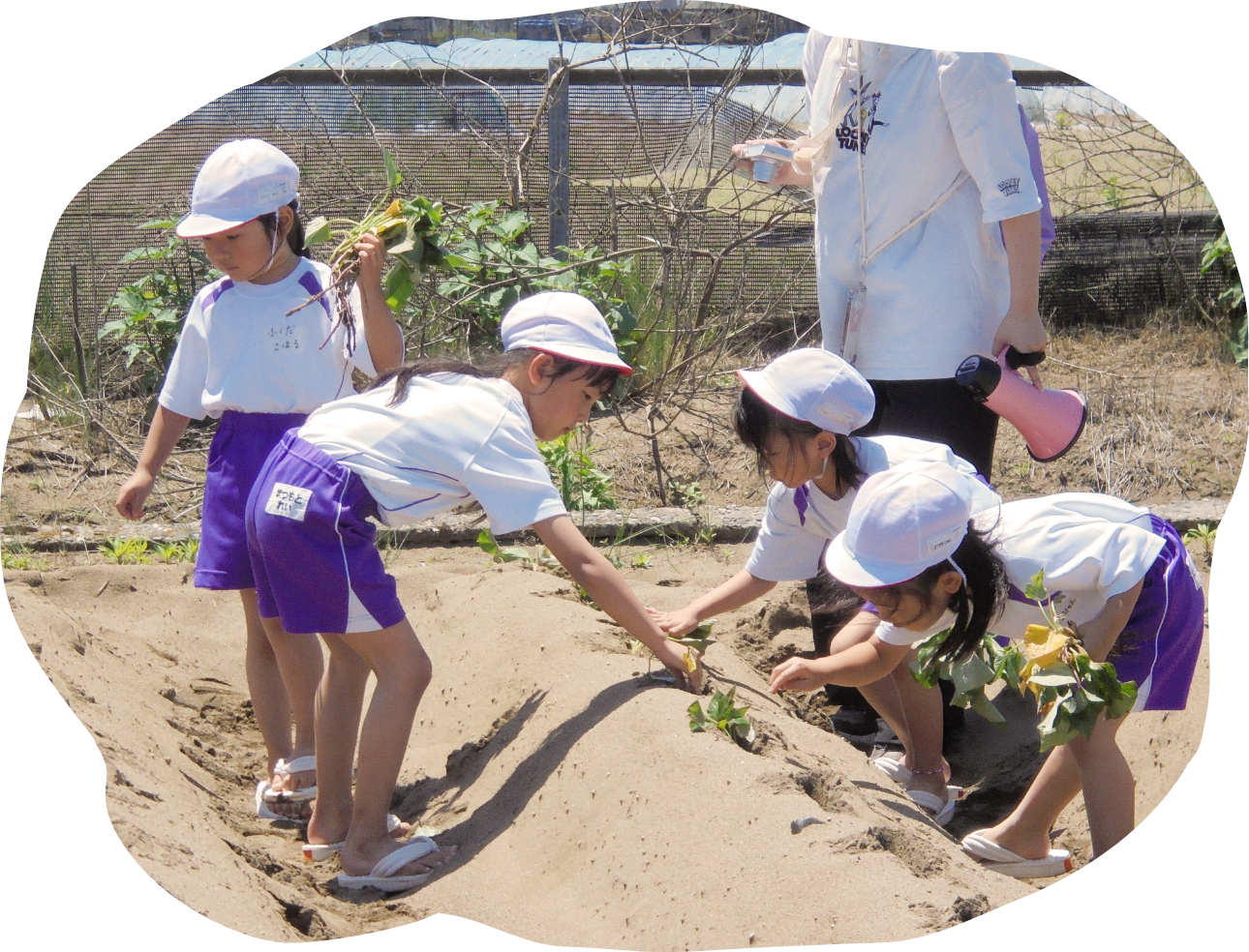 園での生活イメージ画像