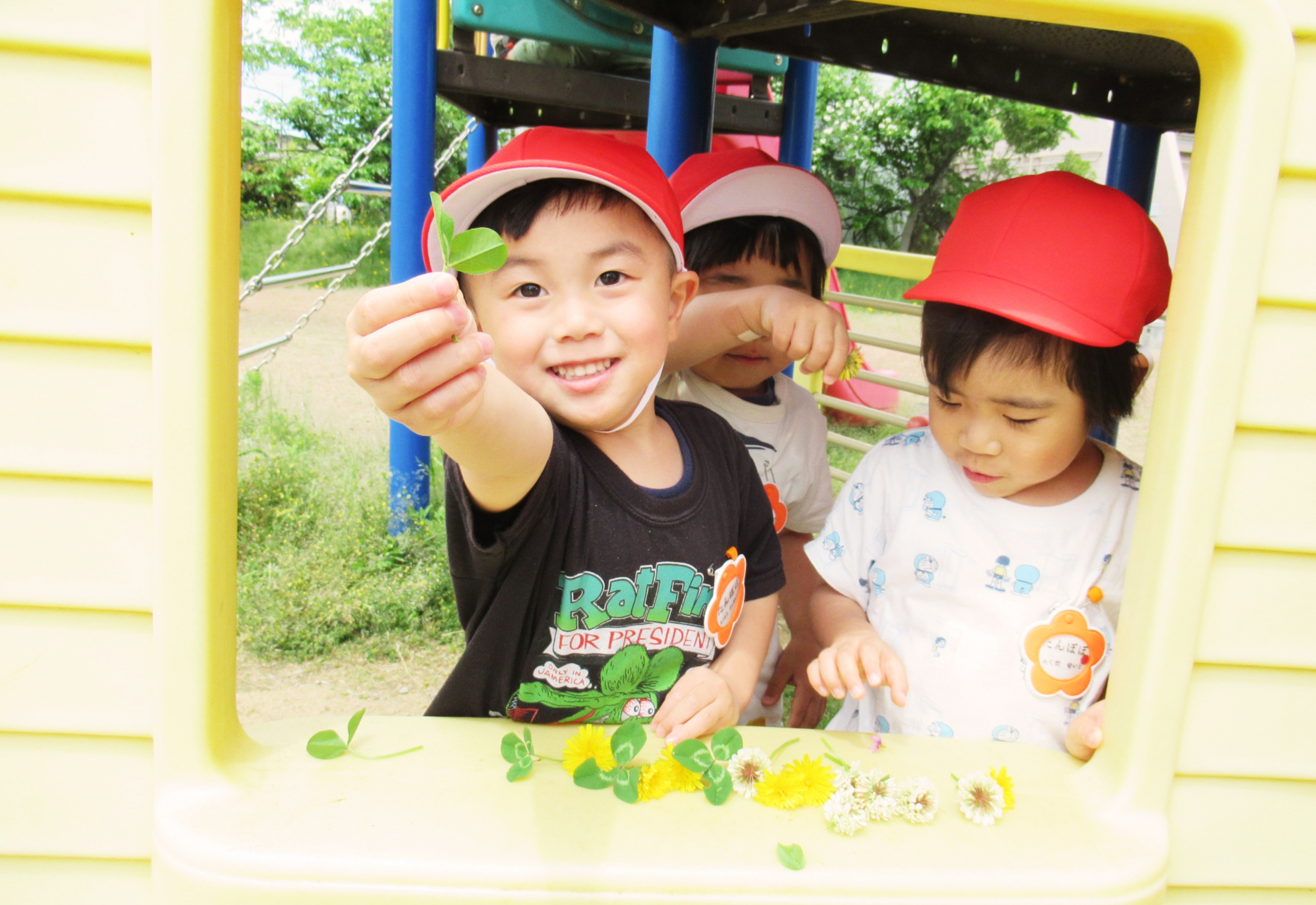 メインビジュアル画像